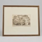 1420 4591 ETCHING